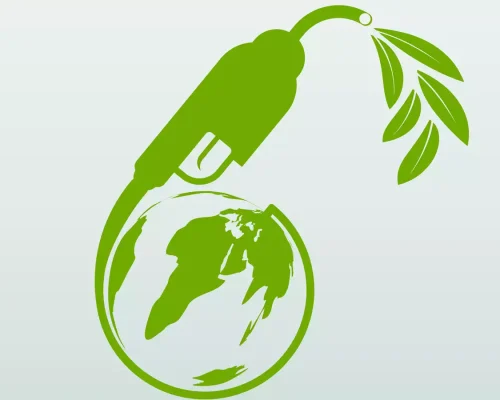 view-bio-data-of-a-wonder-bio-fuel